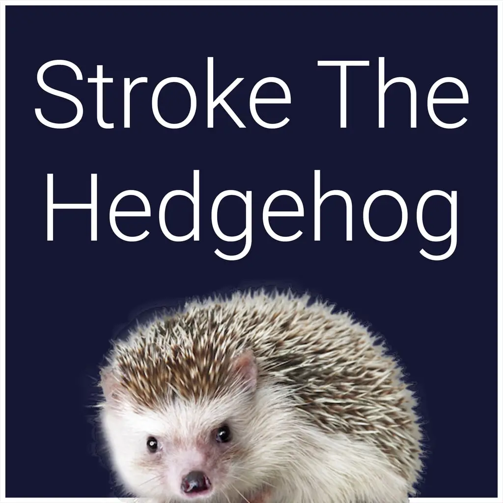 Stroke The Hedgehog — PS4/PS5 ფასი საქართველოში