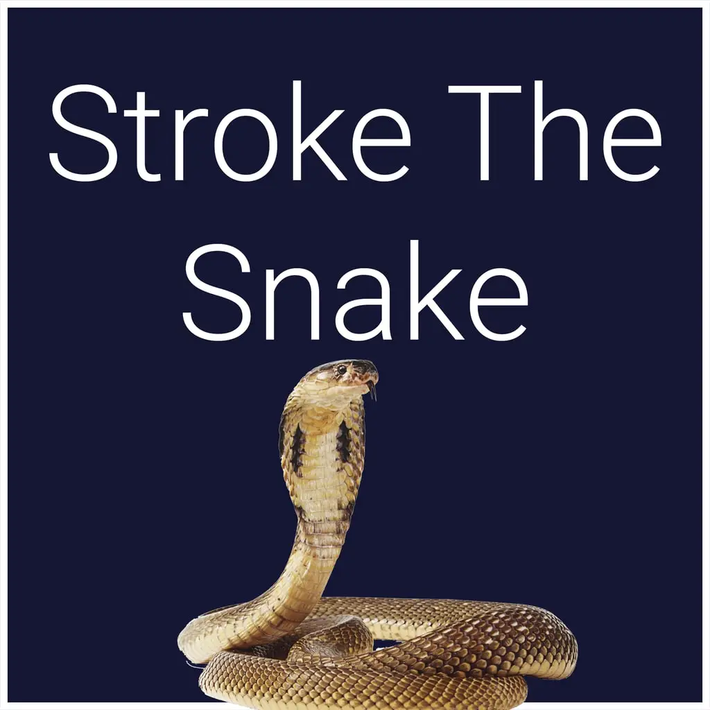 Stroke The Snake — PS4/PS5 ფასი საქართველოში