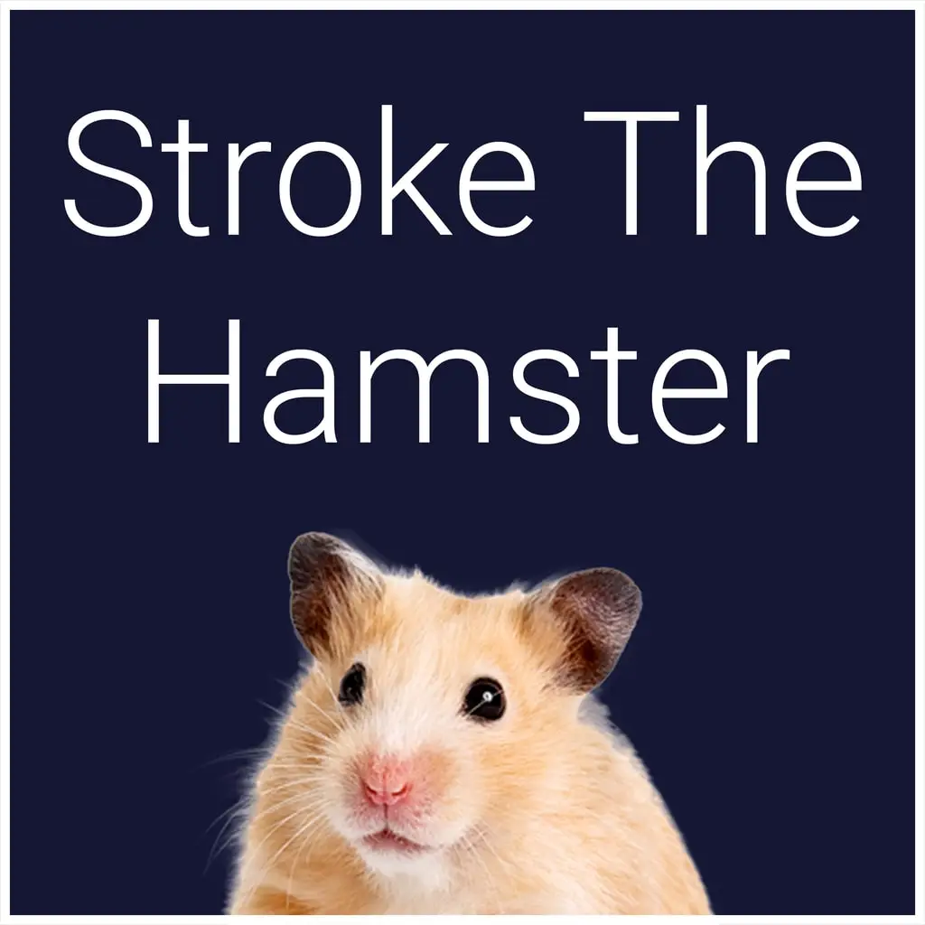 Stroke The Hamster — PS4/PS5 ფასი საქართველოში