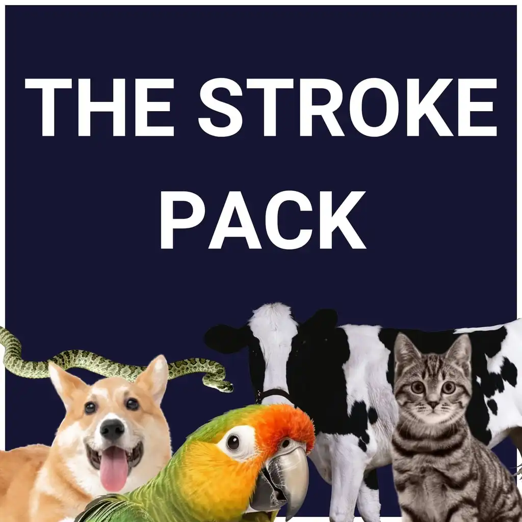 The Stroke Pack — PS4/PS5 ფასი საქართველოში