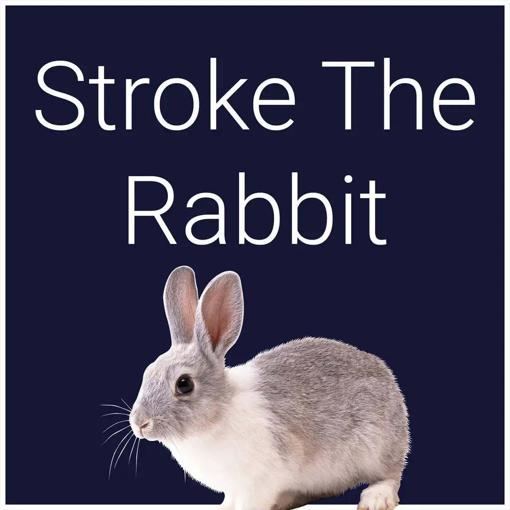 Stroke The Rabbit — PS4/PS5 ფასი საქართველოში