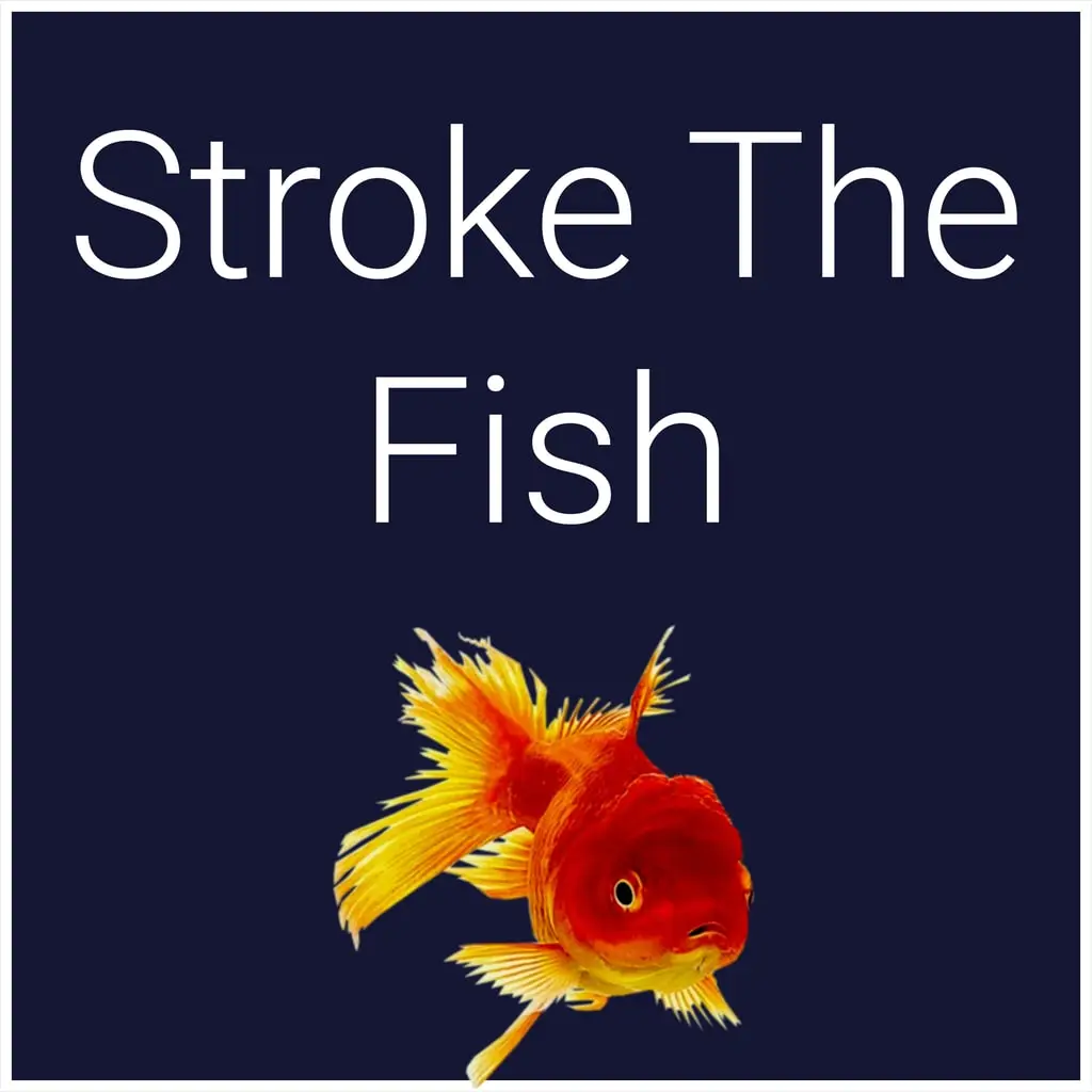 Stroke The Fish — PS4/PS5 ფასი საქართველოში