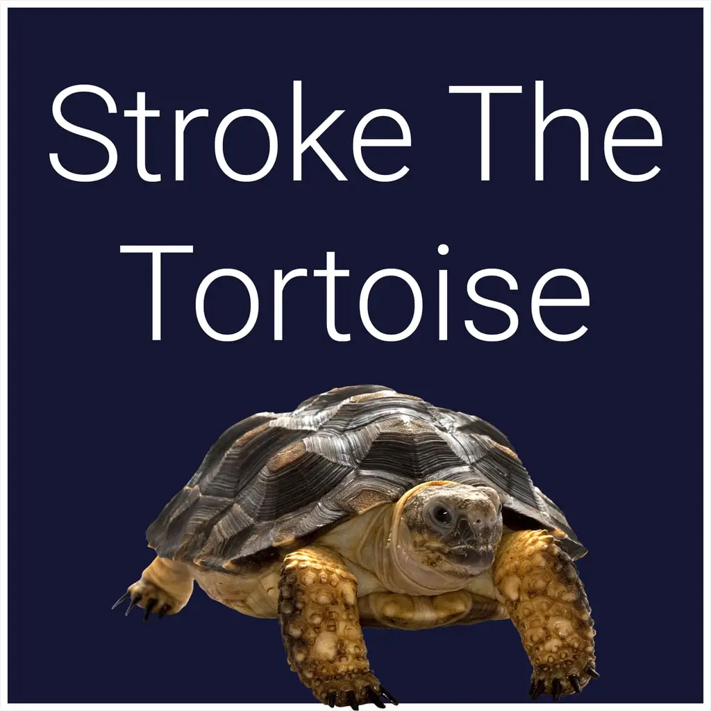 Stroke The Tortoise — PS4/PS5 ფასი საქართველოში