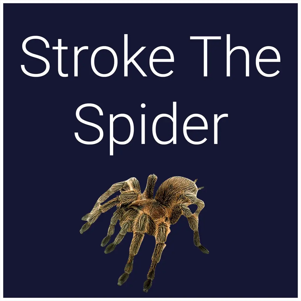 Stroke The Spider — PS4/PS5 ფასი საქართველოში