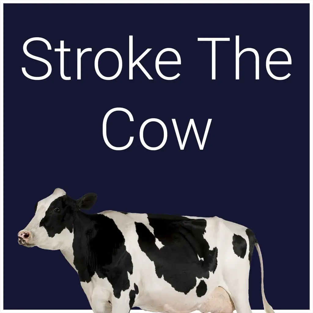 Stroke The Cow — PS4/PS5 ფასი საქართველოში