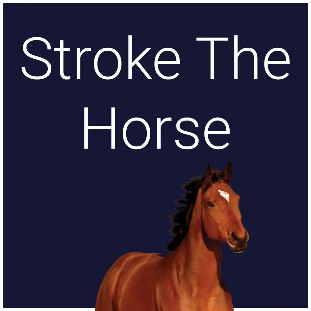 Stroke The Horse — PS4/PS5 ფასი საქართველოში