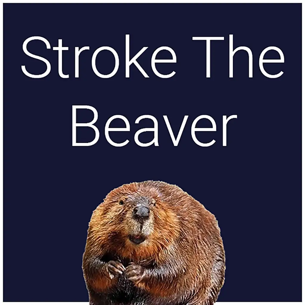 Stroke The Beaver — PS4/PS5 ფასი საქართველოში