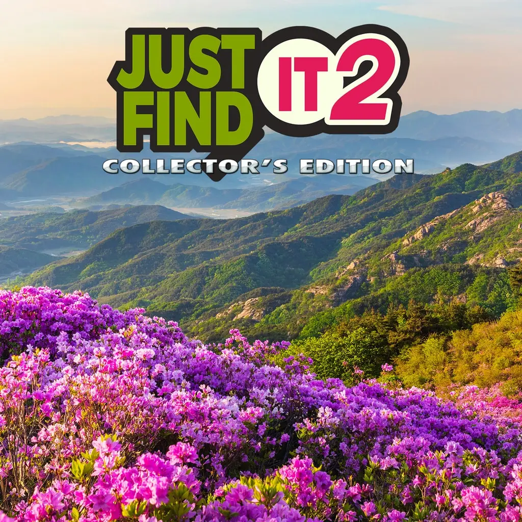 Just Find It 2 Collector's Edition — PS5 ფასი საქართველოში