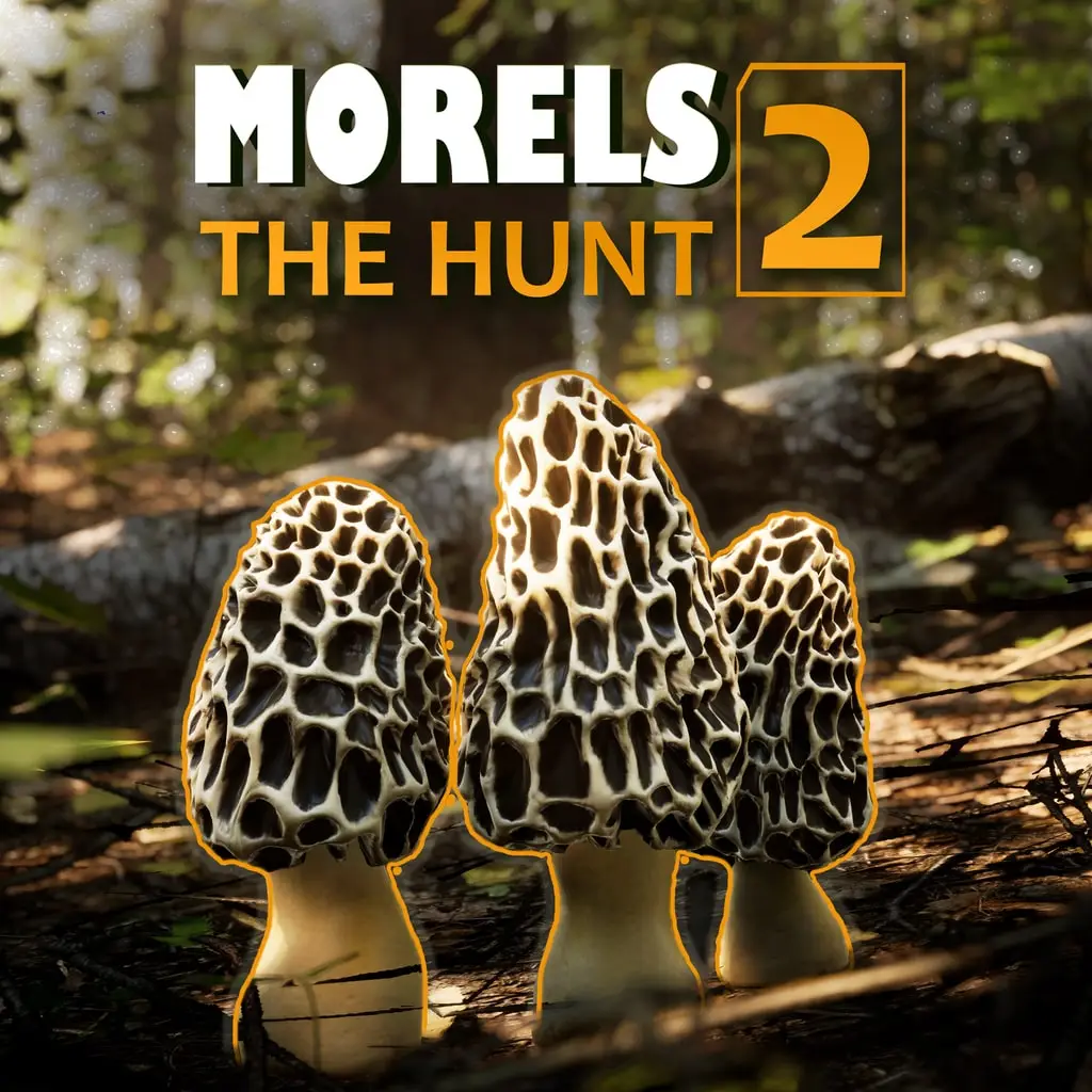 Morels The Hunt 2 — PS5 ფასი საქართველოში