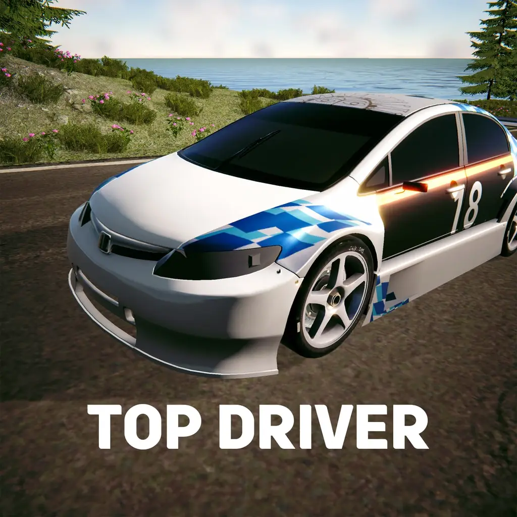 Top Driver — PS4/PS5 ფასი საქართველოში