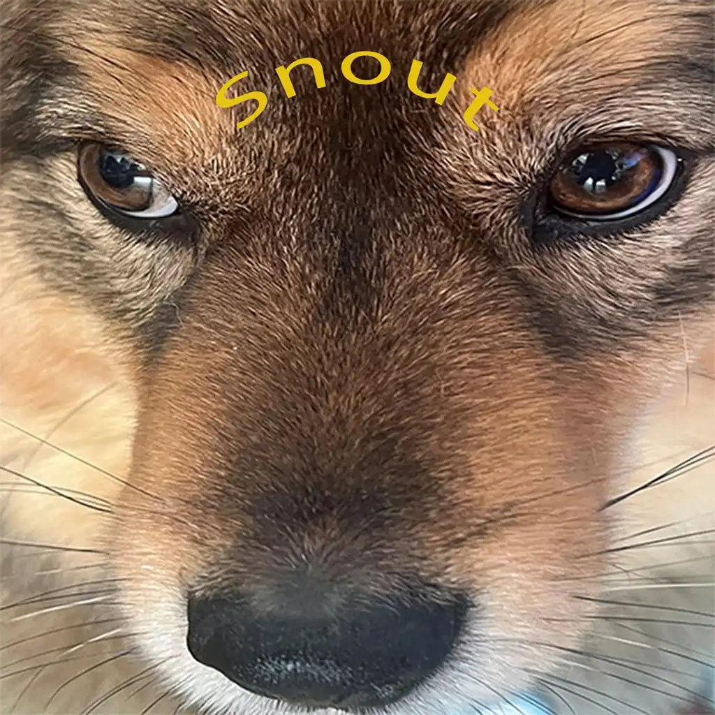 Snoot Booper — PS4/PS5 ფასი საქართველოში