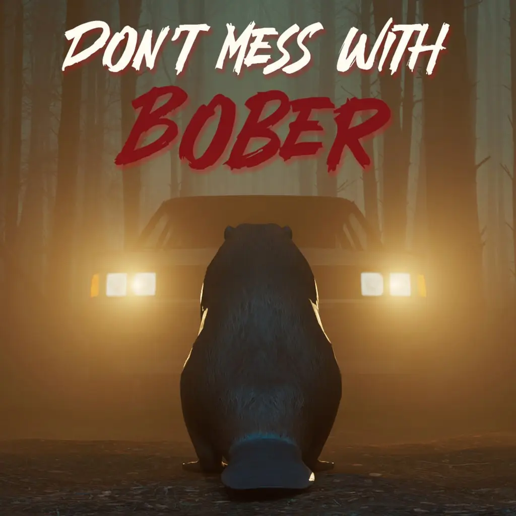 Don't Mess With Bober — PS4/PS5 ფასი საქართველოში