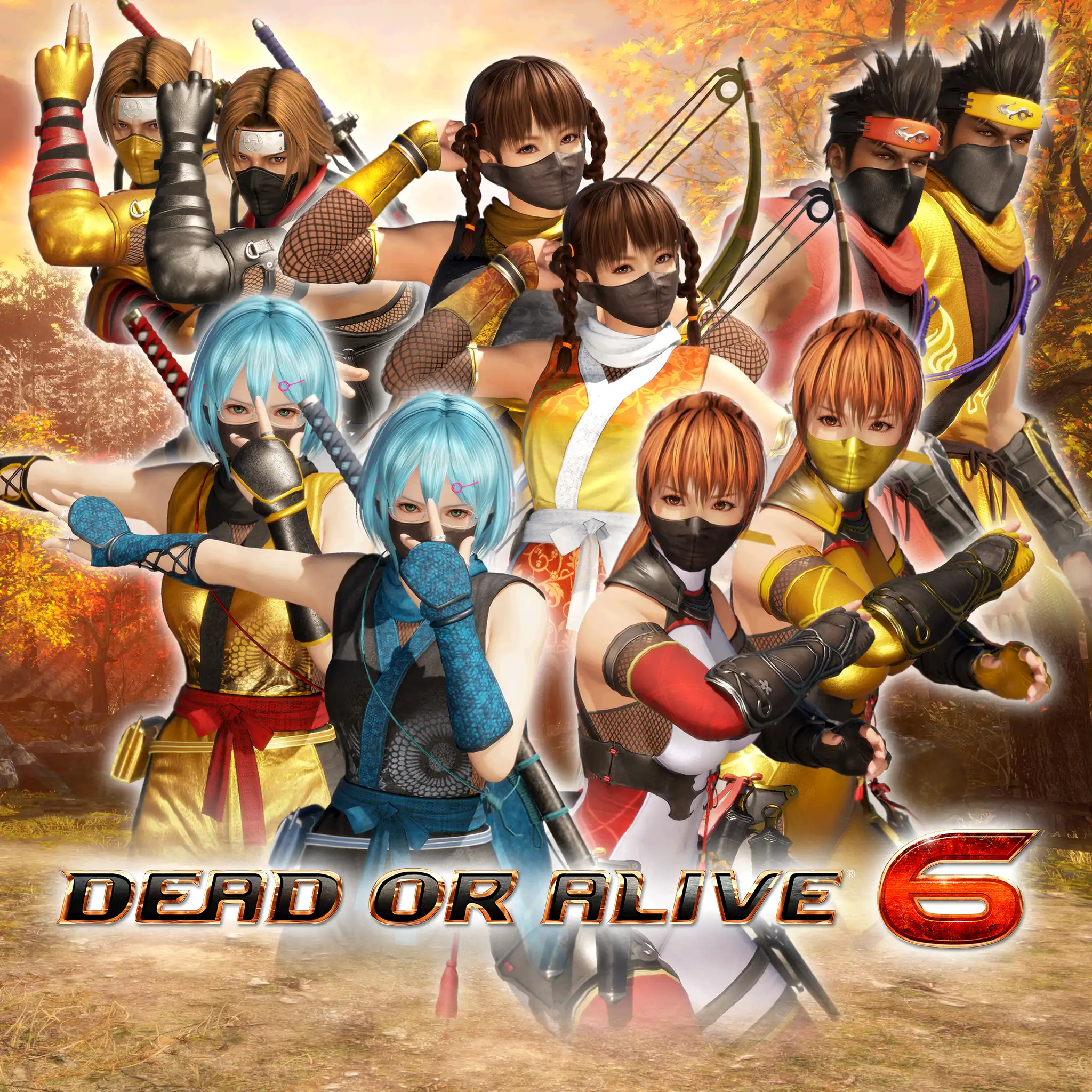 DOA6 Morphing Ninja Costume Set — DEAD OR ALIVE 6