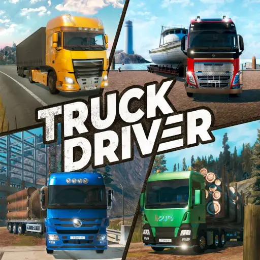 Truck Driver — PS4/PS5 price in Georgia