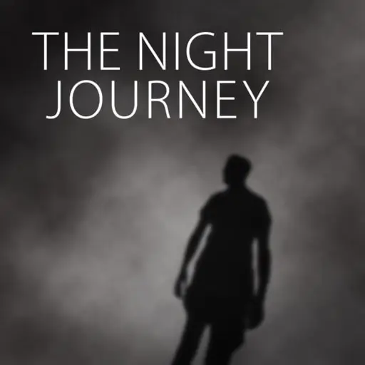 The Night Journey — PS4/PS5 ფასი საქართველოში