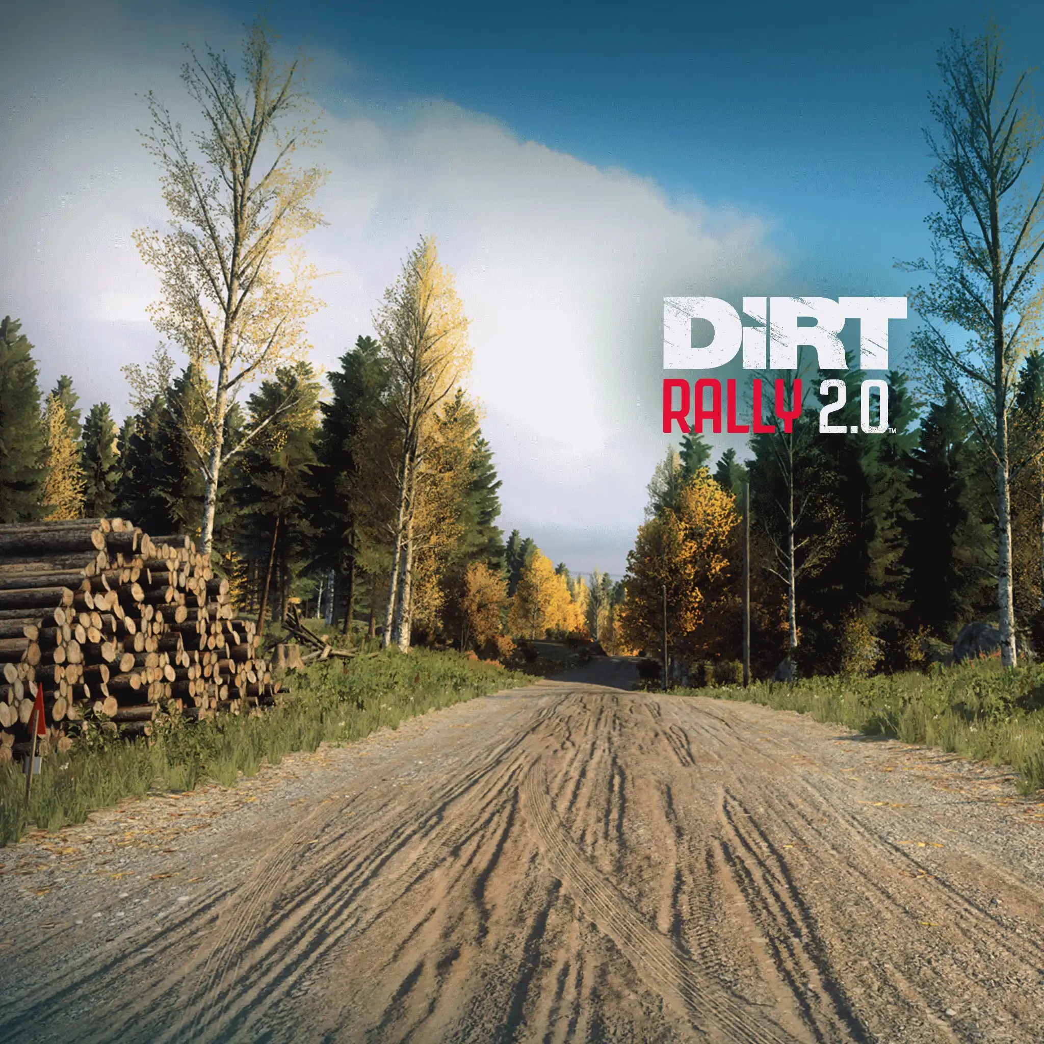 DiRT Rally 2.0 - Finland (Rally Location) — DiRT Rally 2.0