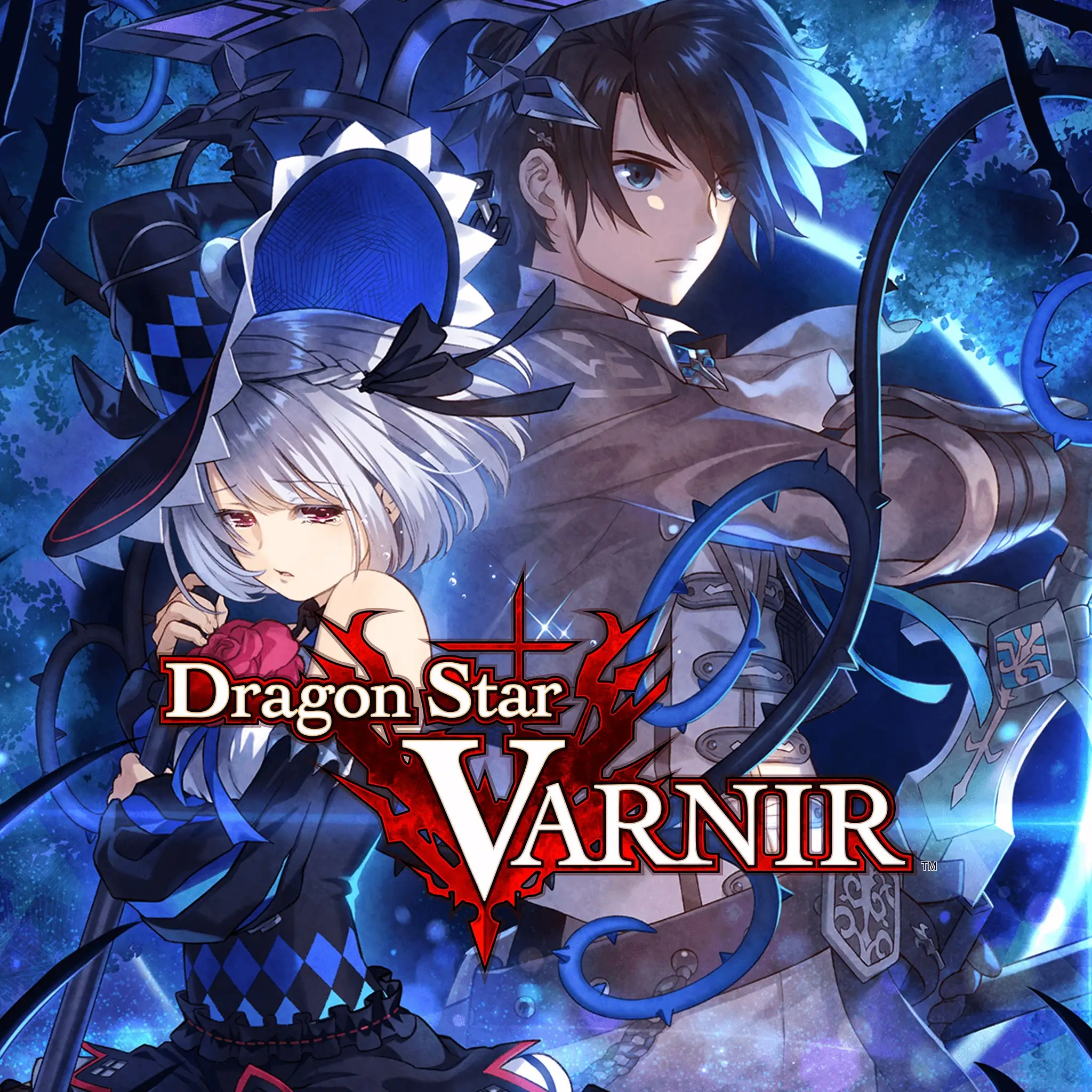 Dragon Star VARNIR — PS4 ფასი საქართველოში