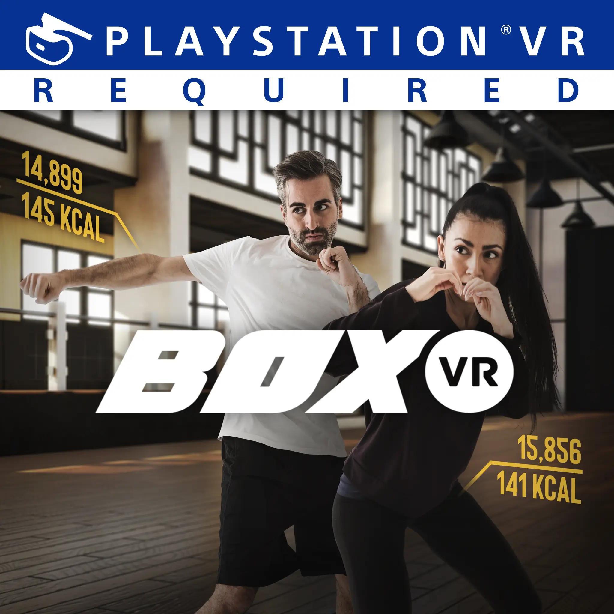 BoxVR — Family თამაში