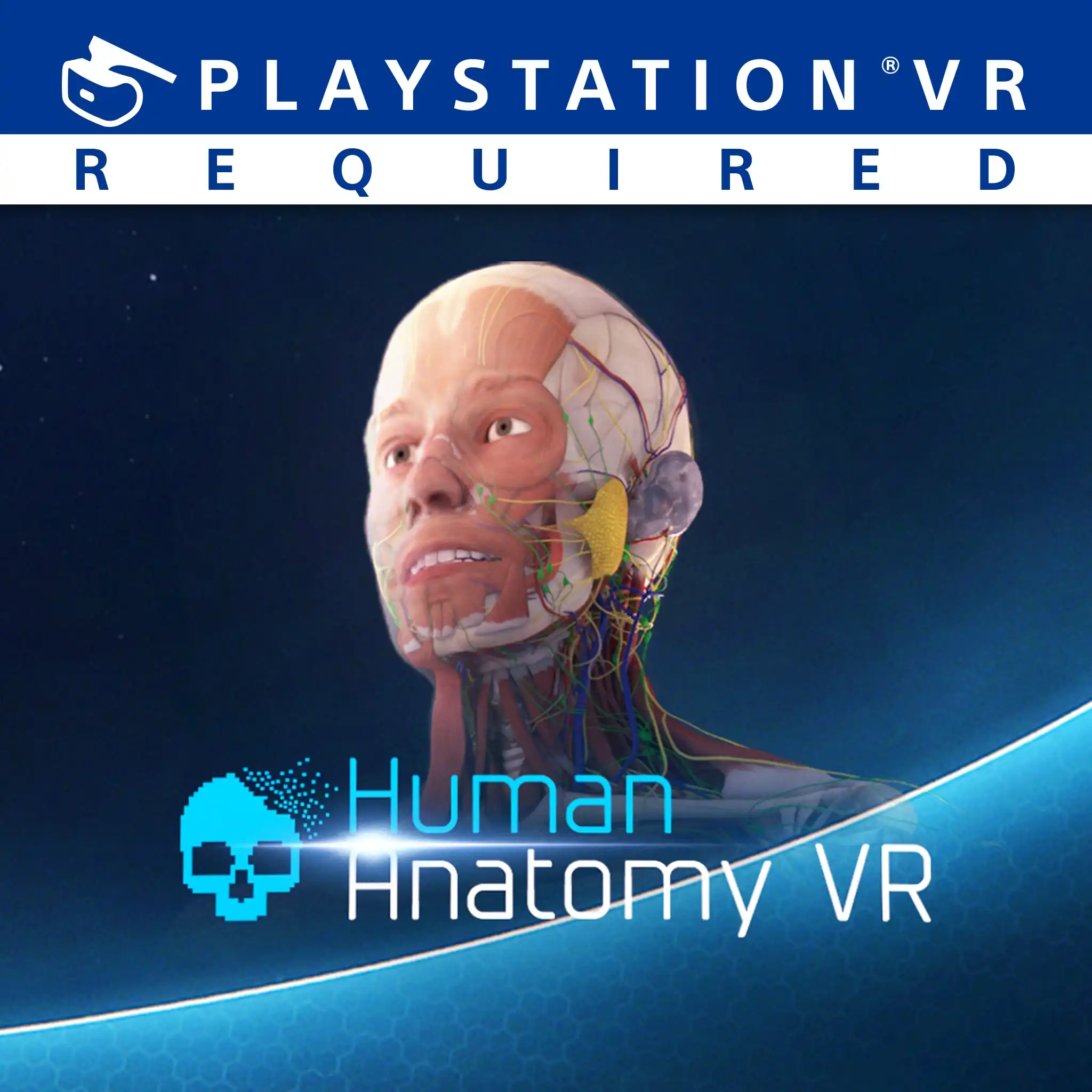 Human Anatomy VR — Human Anatomy VR