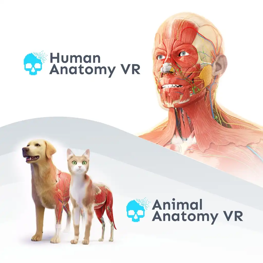 Anatomy VR Bundle — Human Anatomy VR
