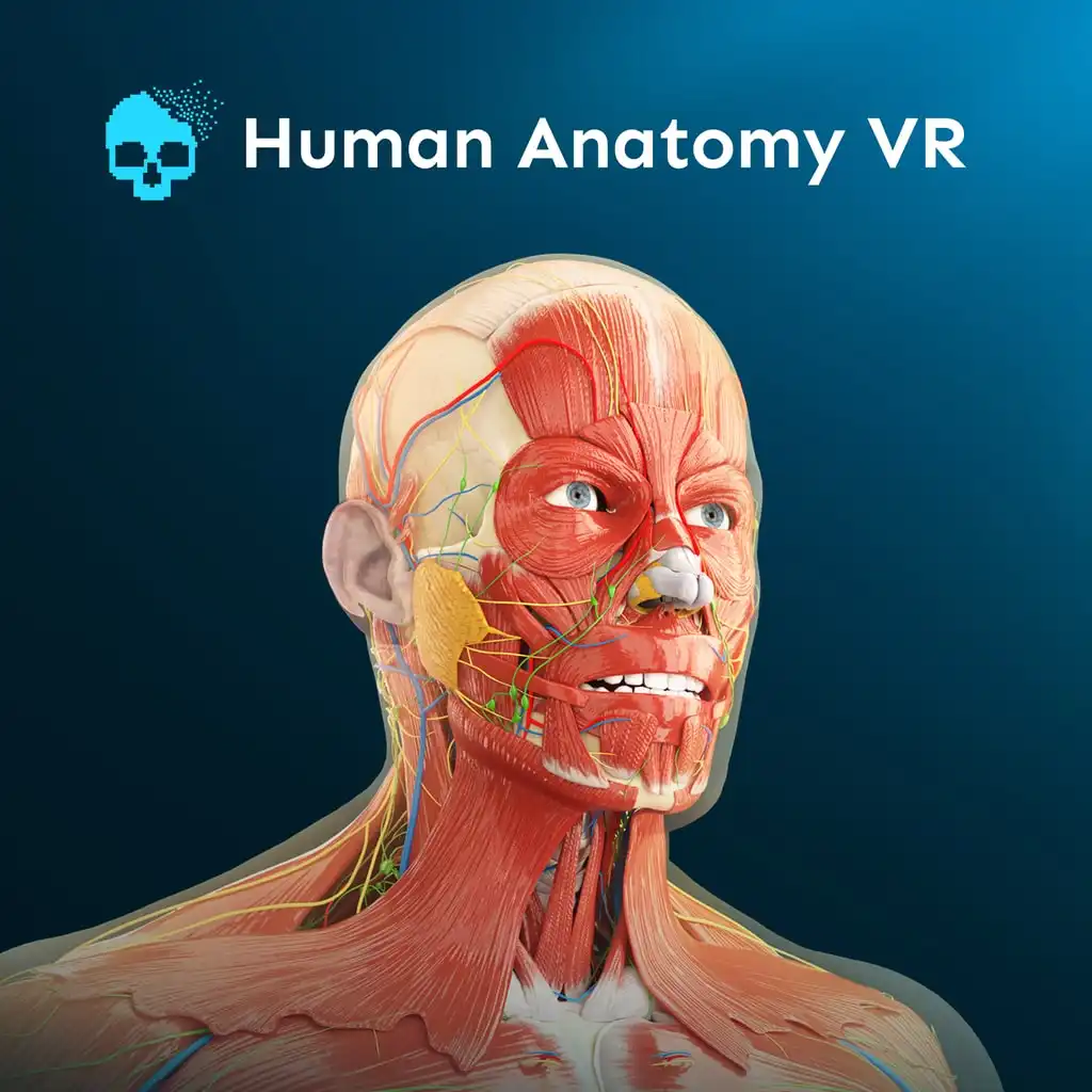 Human Anatomy VR — Human Anatomy VR