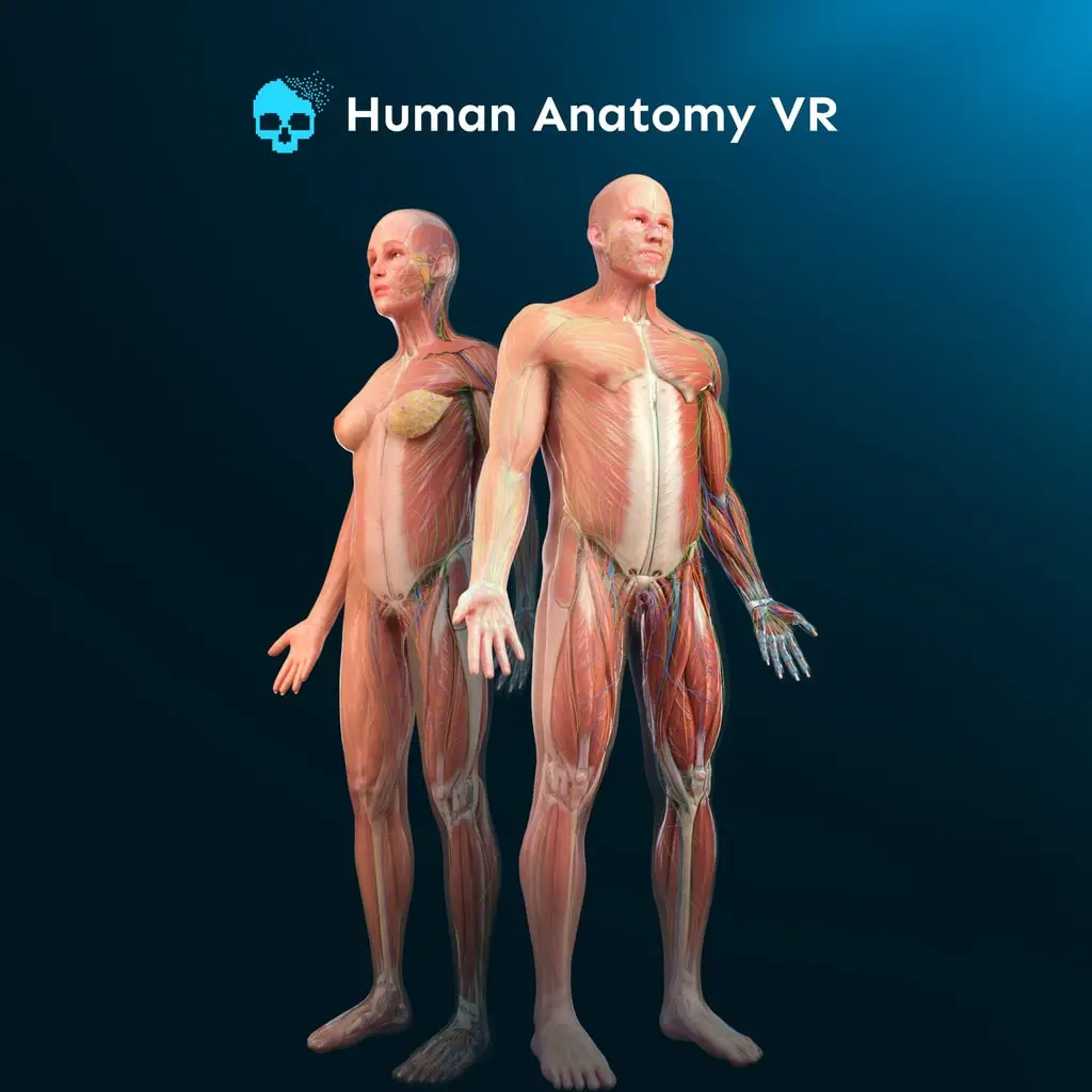 Human Anatomy VR — PS5 ფასი საქართველოში