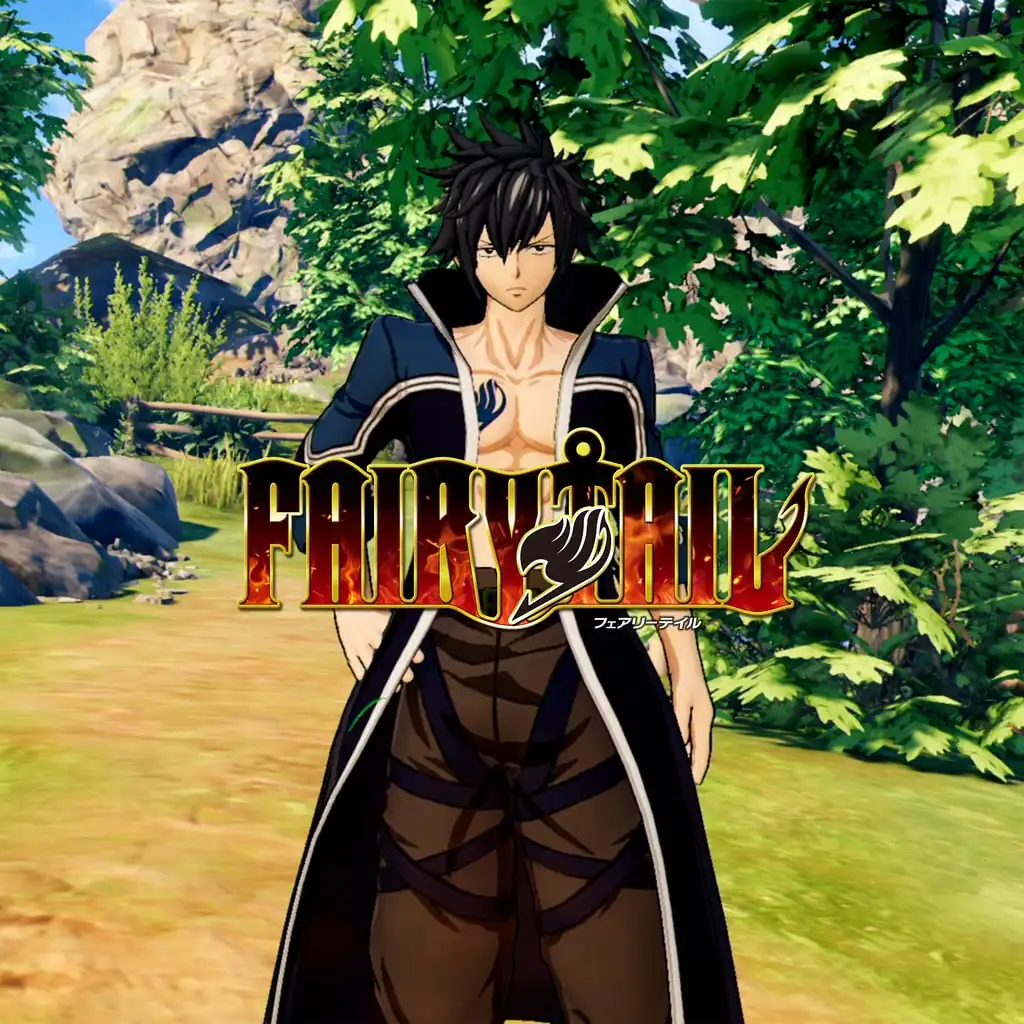FAIRY TAIL: Gray's Costume "Anime Final Season" — FAIRY TAIL